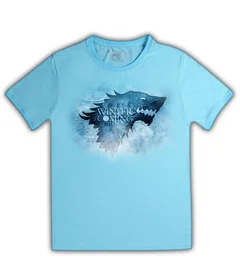 Прикольные футболки: Игра престолов - Winter is coming на голубой